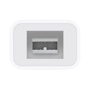 APPLE Thunderbolt to FireWire Adapter