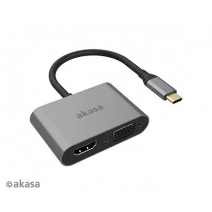 Akasa USB Type-C 2in1 adapter Silver