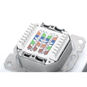 DIGITUS DN-9007-1 Cat6A Modulo50 dupla süllyesztett aljzat 2xRJ45 árnyékolt csatlakozóval