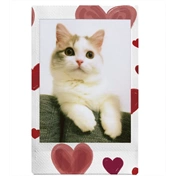 FUJIFILM Instax Mini Film Glossy "Heart Sketch" (10lap)