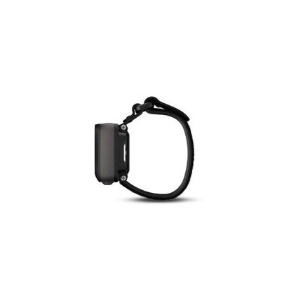 Garmin Foretrex 601