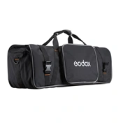 Godox MS300V F Dual Studio Flash Kit