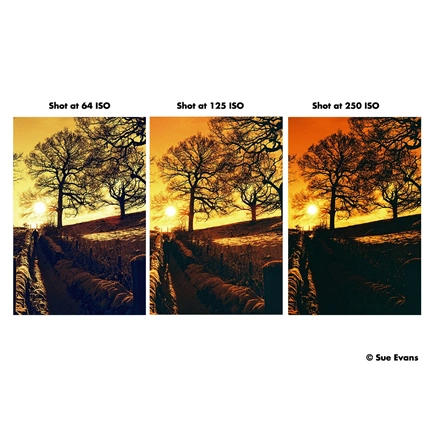 HARMAN RED ISO 125 135-36 EXP