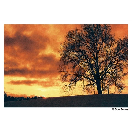 HARMAN RED ISO 125 135-36 EXP
