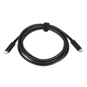 HP USB-C 100W (Z Display dock/charge)