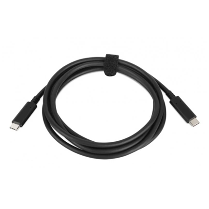 HP USB-C 100W (Z Display dock/charge)