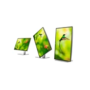 MON DELL UP3218K 8K Black