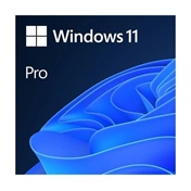 Microsoft Windows 11 Pro ENG DSP OEI DVD
