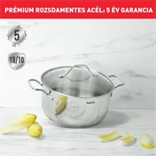 Tefal B8644474 Intuition lábas + fedő 20 cm