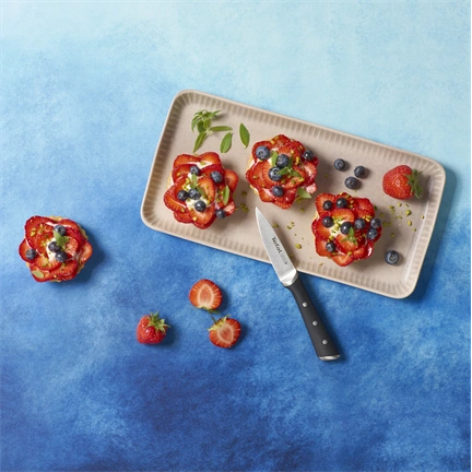 Tefal K2325S75 ICE FORCE műanyag késtartó + 4 kés (kenyérvágó kés, szakácskés, faragókés, univerzális kés)