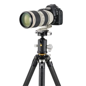 VANGUARD VEO 5 304CB250S karbon allvány gömbfejjel
