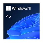 Windows 11 Pro 64Bit Hungarian 1pk DSP OEI